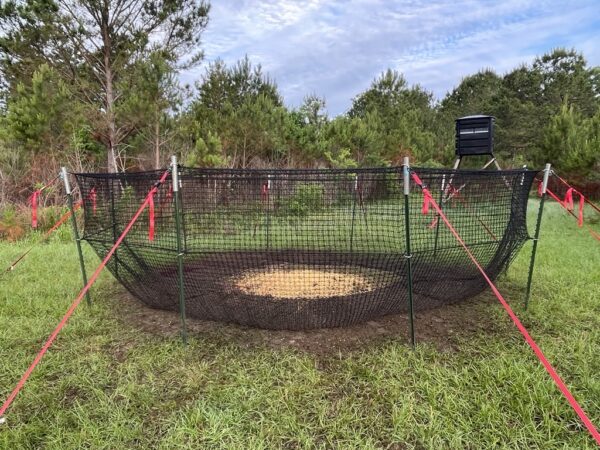 hog trap trap mode